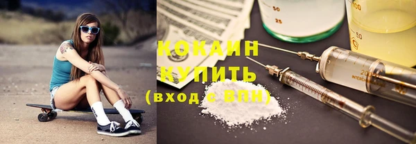 2c-b Бородино