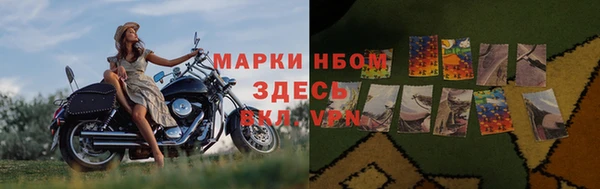 spice Богданович