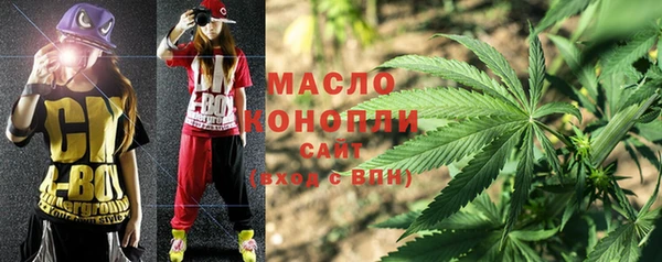 2c-b Бородино