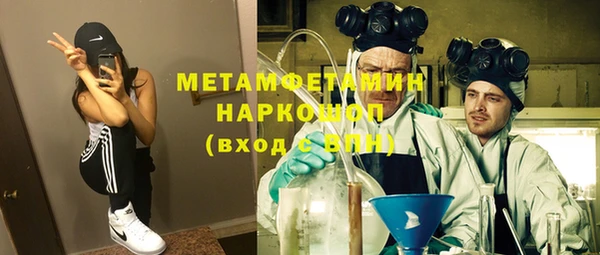 spice Богданович