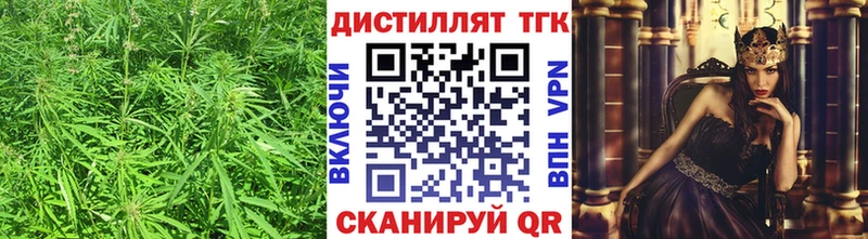 дарнет шоп  Старица  ТГК жижа 