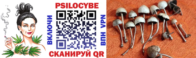 Псилоцибиновые грибы ЛСД  Старица 